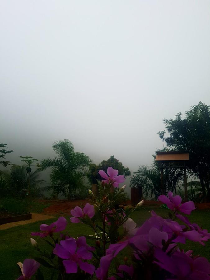 Vista da Mata DM, 5km Centro Domingos Martins, Wi Fi, fibra óptica, SPA aquecido, privacidade, aceita pets Exterior foto